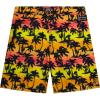 Orange/Red Palm Trees