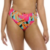 Canopy Tropical Brights